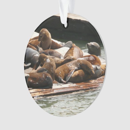 Sonnenlicht in San Francisco Ornament (Vorderseite)