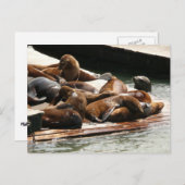 Sonnenlicht in San Francisco Postkarte (Vorne/Hinten)