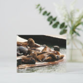 Sonnenlicht in San Francisco Postkarte (Stehend Vorderseite)