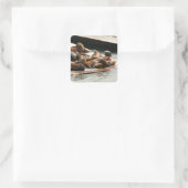 Sonnenlicht in San Francisco Quadratischer Aufkleber (Tasche)