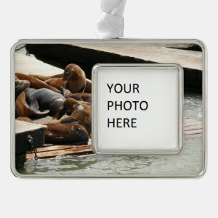 Sonnenlicht in San Francisco Rahmen-Ornament Silber