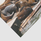 Sonnenlicht in San Francisco Seidenpapier (Ausschnitt)