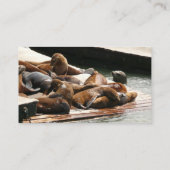 Sonnenlicht in San Francisco Visitenkarte (Rückseite)