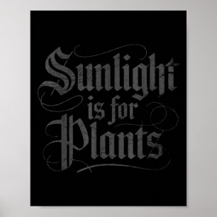 Sonnenlicht ist für Pflanzen  Poster