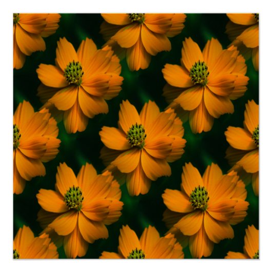 Sonnenlicht Liebe... Poster (Vorderseite)