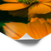 Sonnenlicht Liebe... Poster (Ecke)