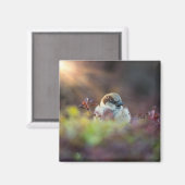 Sonnenlicht Magnet (Vorderseite/Rückseite)