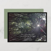 Sonnenlicht mit einem Foto aus Bäumen Kunst & Chin Postkarte (Vorne/Hinten)