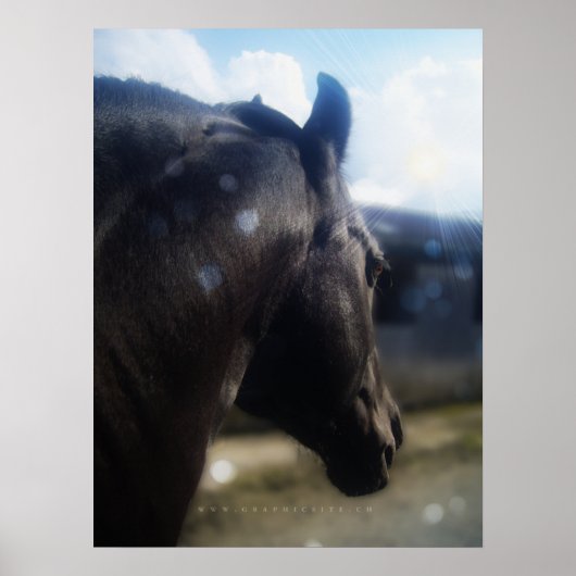 Sonnenlicht - Poster (Vorne)