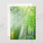 Sonnenlicht Postkarte (Vorne/Hinten)