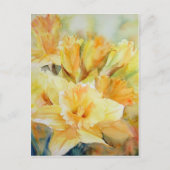 Sonnenlicht Postkarte (Vorderseite)