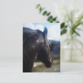 Sonnenlicht - Postkarte (Stehend Vorderseite)