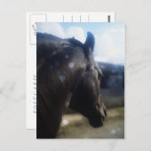 Sonnenlicht - Postkarte (Vorne/Hinten)