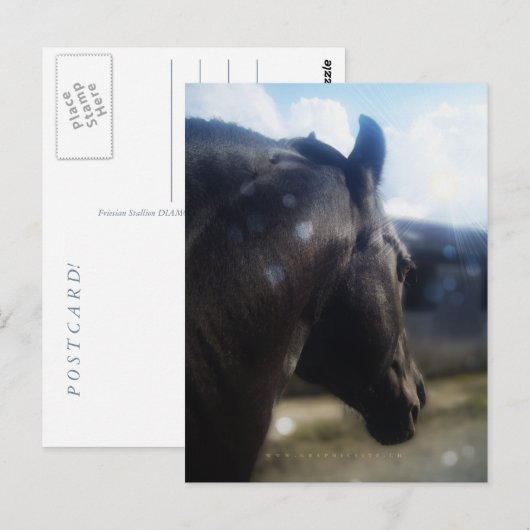 Sonnenlicht - Postkarte (Vorne/Hinten)