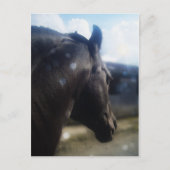 Sonnenlicht - Postkarte (Vorderseite)