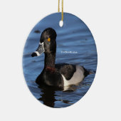 Sonnenlicht Profil einer Ringneckenente Silbernes Ornament (Rechts)