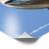 Sonnenlicht Profil eines Baumschlucks Songbird Fotodruck (Ecke)