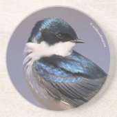 Sonnenlicht Profil eines Baumschlucks Songbird Getränkeuntersetzer (Vorne)