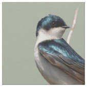 Sonnenlicht Profil eines Baumschlucks Songbird Stoff (Nahaufnahme)