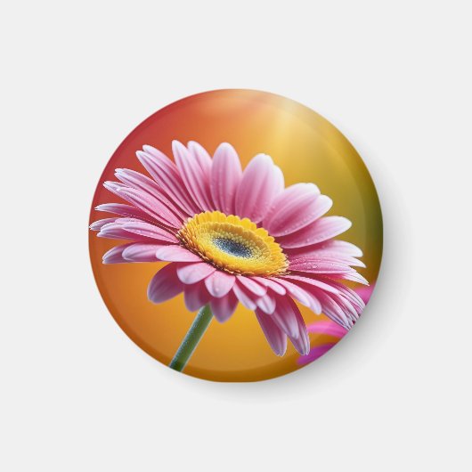 Sonnenlicht Rosa Blütenblume Magnet (Vorne)