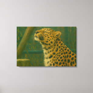 Sonnenlicht - Ruhender Leopard im Waldlicht Leinwanddruck