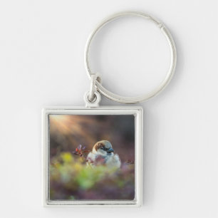 Sonnenlicht Schlüsselanhänger