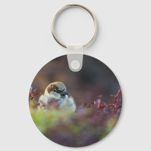 Sonnenlicht Schlüsselanhänger