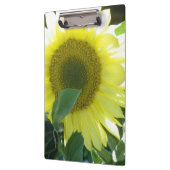 Sonnenlicht-Sonnenblume Klemmbrett (Links)