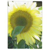Sonnenlicht-Sonnenblume Klemmbrett (Rückseite)
