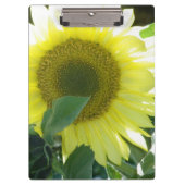 Sonnenlicht-Sonnenblume Klemmbrett (Vorderseite)