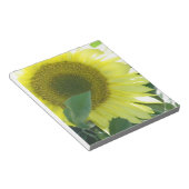 Sonnenlicht Sonnenblume Notizblock (angewinkelt)