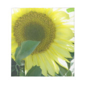 Sonnenlicht Sonnenblume Notizblock (Vorderseite)
