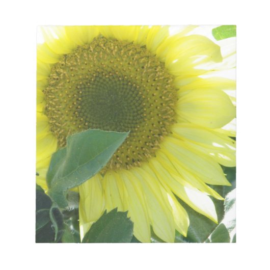 Sonnenlicht Sonnenblume Notizblock (Vorderseite)