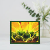 Sonnenlicht Sonnenblume Postkarte (Stehend Vorderseite)