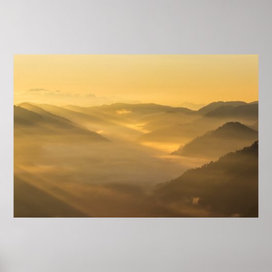 Sonnenlicht strahlt am Nebel Poster (Vorne)