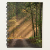 Sonnenlicht strahlt durch einen Wald Planer (Vorderseite)