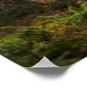 Sonnenlicht strahlt durch einen Wald Poster (Ecke)