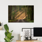 Sonnenlicht strahlt durch einen Wald Poster (Heimbüro)
