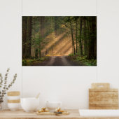 Sonnenlicht strahlt durch einen Wald Poster (Küche)