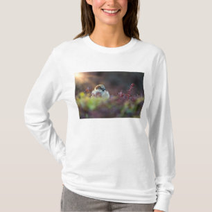 Sonnenlicht T-Shirt