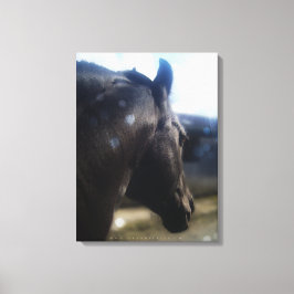 Sonnenlicht - überzogene Canvas Leinwanddruck