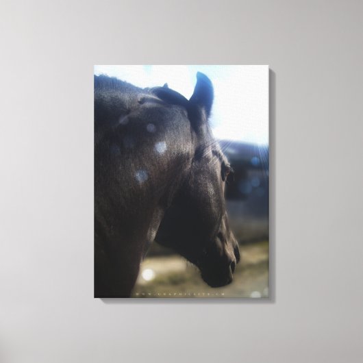 Sonnenlicht - überzogene Canvas Leinwanddruck (Vorderseite)