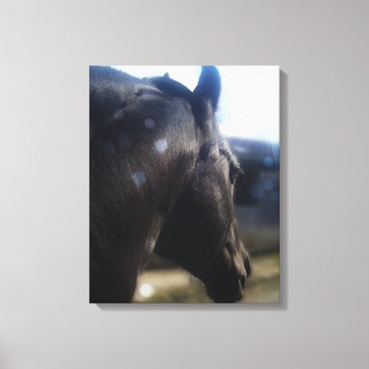 Sonnenlicht - überzogene Canvas Leinwanddruck (Vorderseite)