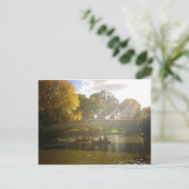 Sonnenlicht und Boote, Bow Bridge, Central Park Postkarte (Stehend Vorderseite)