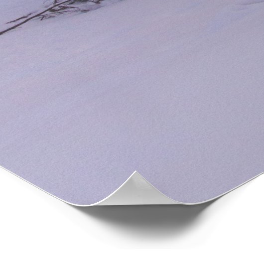 Sonnenlicht und Fichtenwald Poster (Ecke)