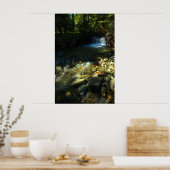 Sonnenlicht und Wasserfall Poster (Küche)