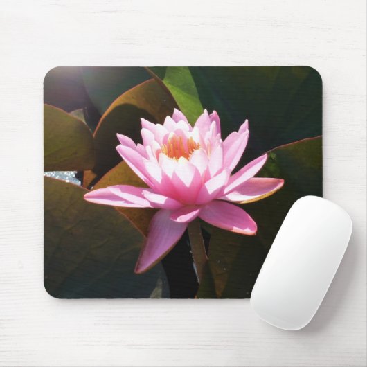 Sonnenlicht Wasserlilie Rosa Blumengarten Mousepad (Mit Mouse)