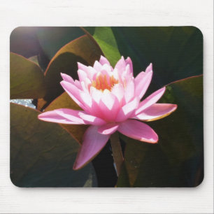 Sonnenlicht Wasserlilie Rosa Blumengarten Mousepad