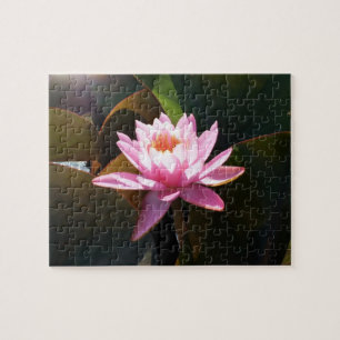 Sonnenlicht Wasserlilie Rosa Blumengarten Puzzle