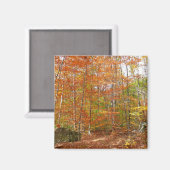 Sonnenlichtdurchgang Entdeckungsreise zur Alp Pior Magnet (Vorderseite/Rückseite)